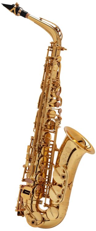 alt-saxophon-selmer-alto-sa-80-serie-ii-lack-lacki_0002.jpg