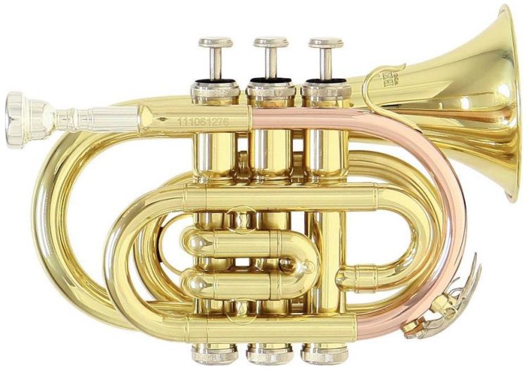 b-trompete-roy-benson-taschencornet-pt-101-lackier_0001.jpg