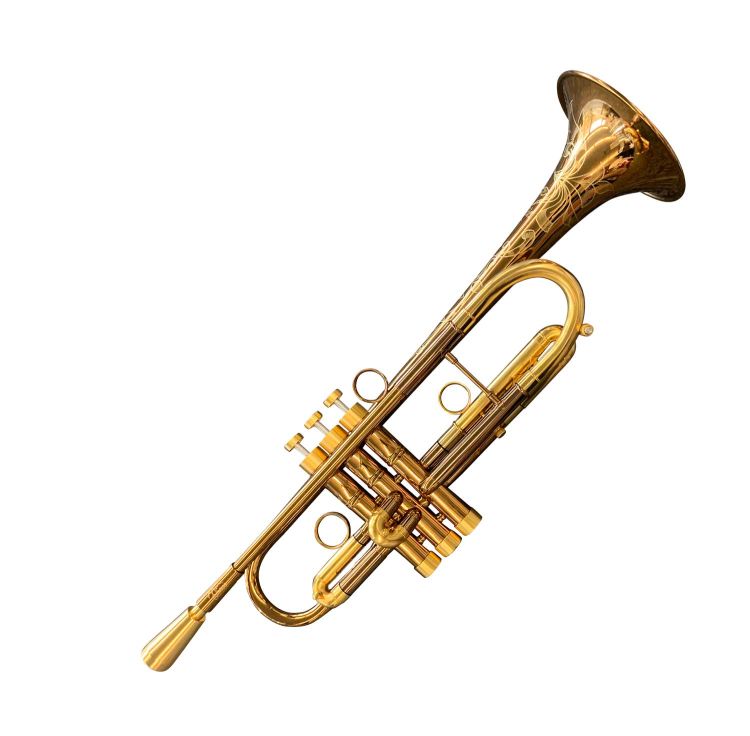 b-trompete-mandala-draco-5-estrellas-_0002.jpg