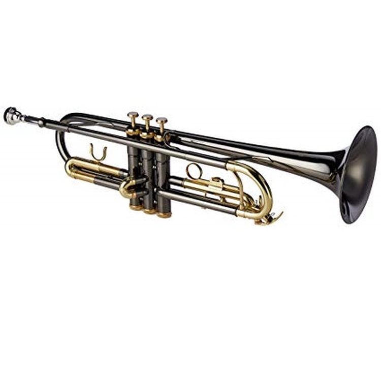 b-trompete-roy-benson-tr-101k-schwarz-_0002.jpg