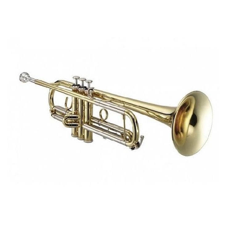b-trompete-roy-benson-tr-101-lackiert-_0002.jpg