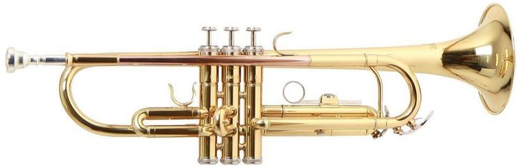 b-trompete-roy-benson-tr-101-lackiert-_0003.jpg